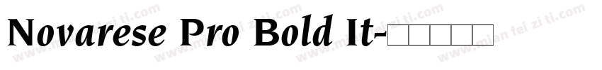 Novarese Pro Bold It字体转换